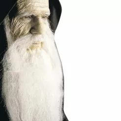 Maquillaje De Carne Artificial